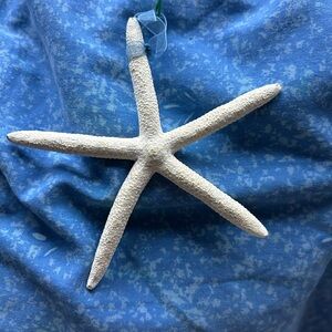 NWOT Decorative Cream Starfish Ornament